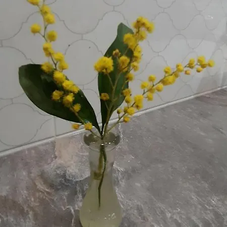 Apartment Lea City Center Banja Luka
